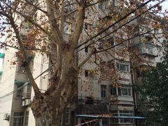 2020南京市三大产业G_南京市地图