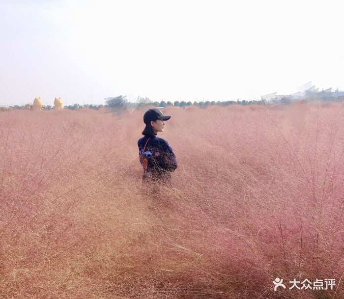 壕熊庄园-图片-常州周边游-大众点评网