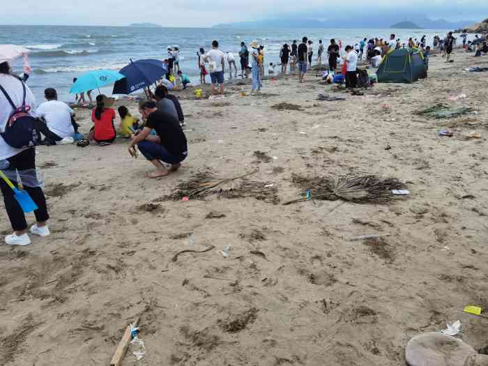 阳光咀沙滩-"我是游客|广州人到珠海旅游的最后一站这