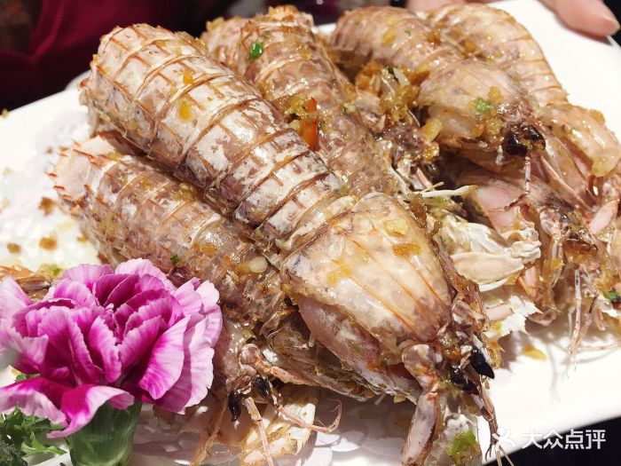 这点海鲜虾蛄图片 第298张