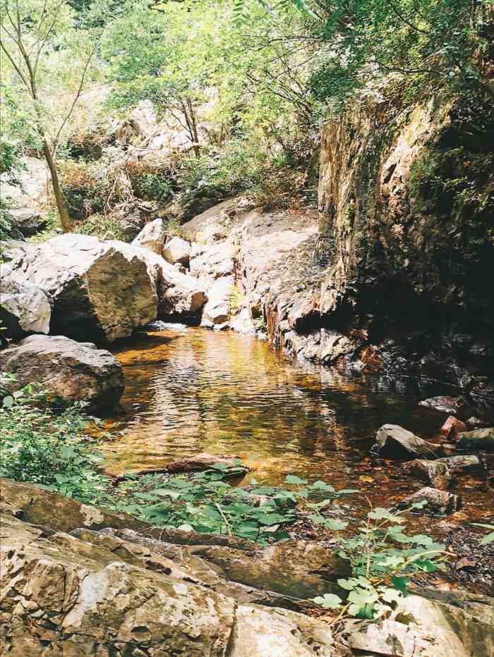 云岫谷游猎自然风景区