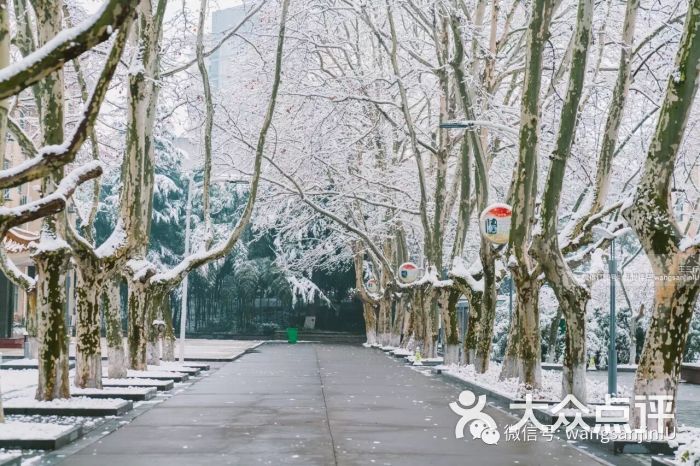 江苏省盐城中学集团(北校区)-图片-盐城学习培