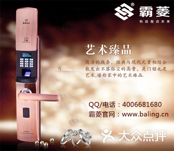 大门指纹锁什么牌子好-霸菱指纹锁品牌0的图片