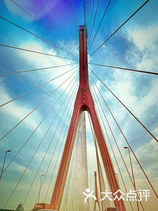 杨浦大桥图片 - 第14张