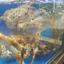 高广场】电话_地址_价格_营业时间_松江区综