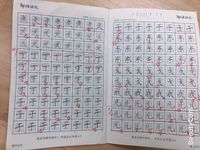 正心格练字