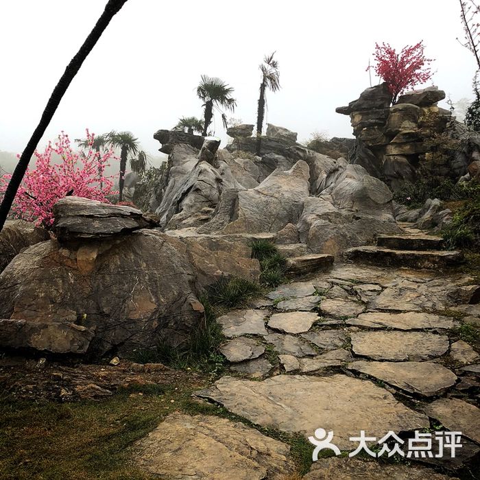 歌乐山颐麓欢歌生态园