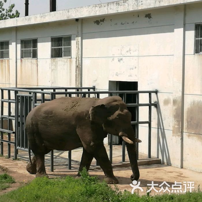 西安秦岭野生动物园