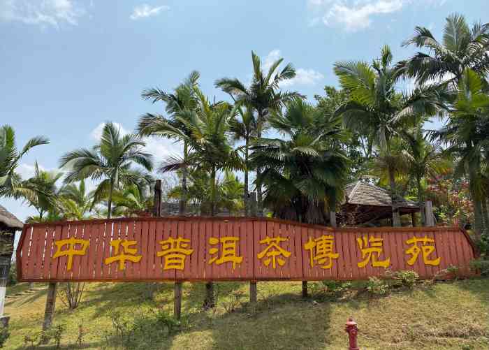 中华普洱茶博览苑"景色实在太美了,普洱之行非常值得!走在茶.