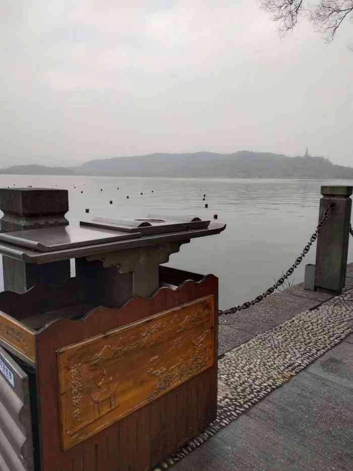西湖游船三潭印月花港观鱼码头"杭州篇66615去花港观鱼完全是冲