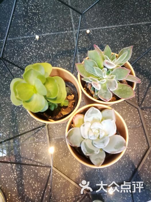 RM健身私教工作室