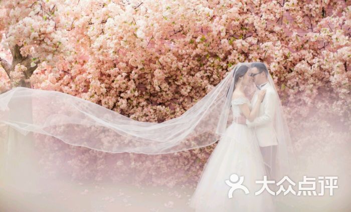 维纳斯婚纱摄影(连云港店)-图片-连云港-大众点评网