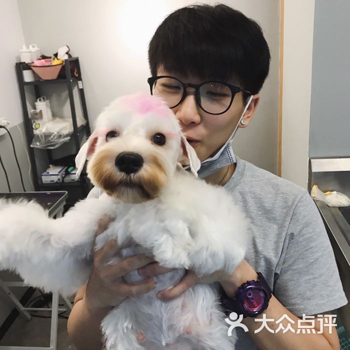 poppy 宠物美容工作室