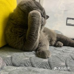 【鼎隆山庄(文峰店)】电话,地址,价格,营业时间(图)