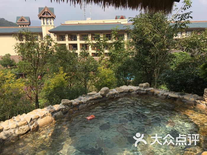 西溪森林温泉度假村图片 - 第8张