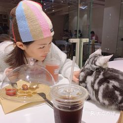 cat nap cafe懒懒猫咖