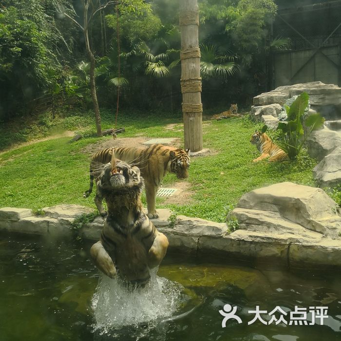 深圳野生动物园