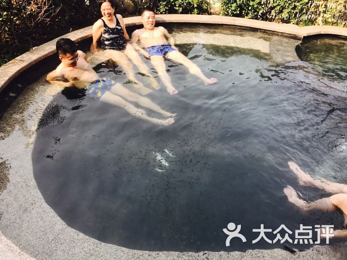 太白山凤凰温泉图片 - 第2张