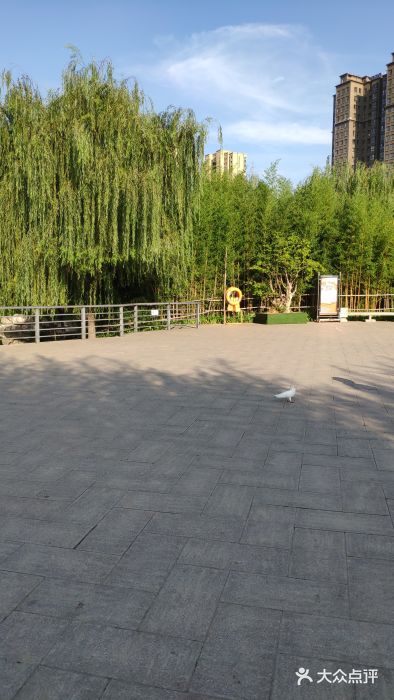 航天城中湖公园图片