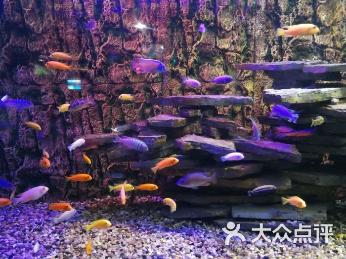 石林冰雪海洋世界图片 - 第26张