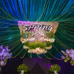 思普瑞私人婚礼定制的主页