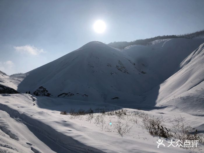 石河子将军山滑雪场图片