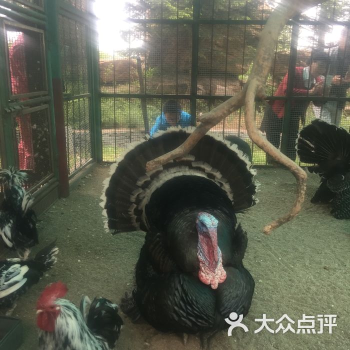 本溪动物园