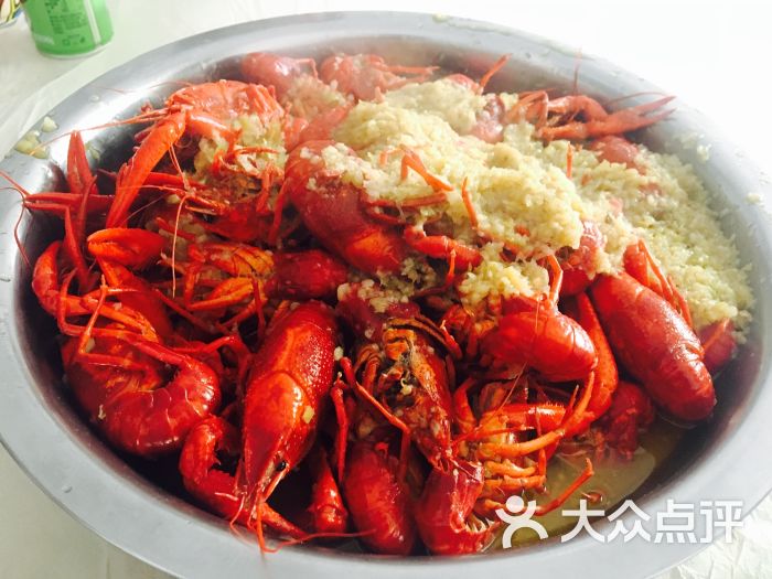 金湖十万亩清水龙虾图片 第2张