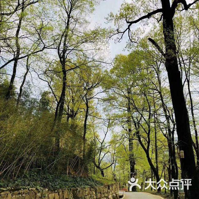 指南村天池一方农家乐