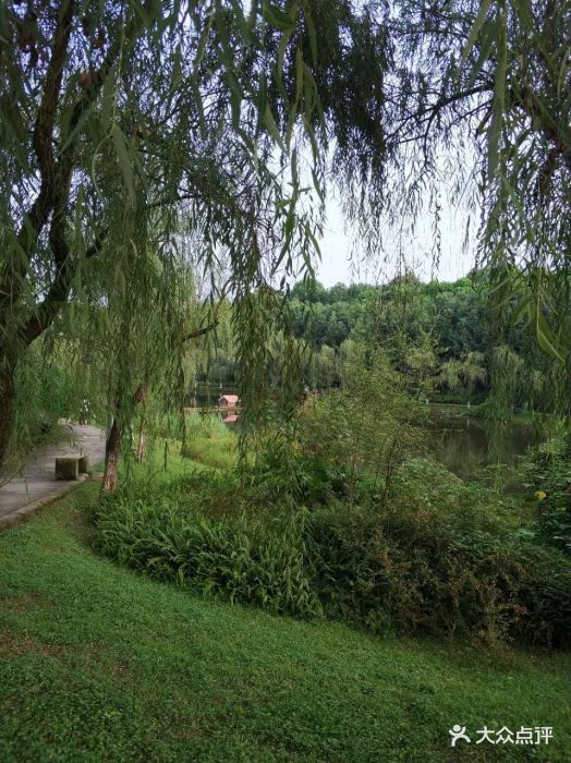 到七中旁的烤鱼一条街吃饭,下车还早,看见.-重