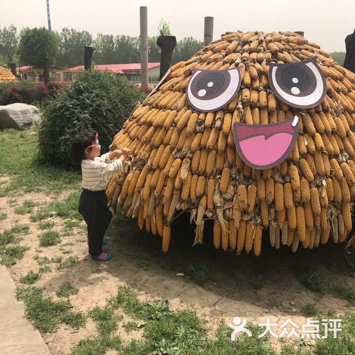 留民营生态科普公园