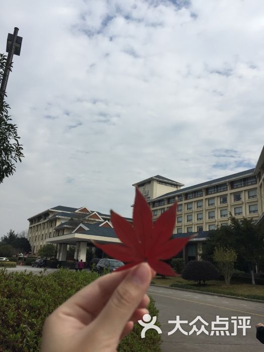 武夷山悦华酒店图片 第2张