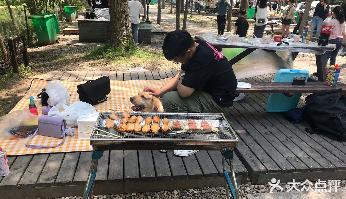 和好朋友们来春游 风景太好啦～很多人在这里野炊烧烤