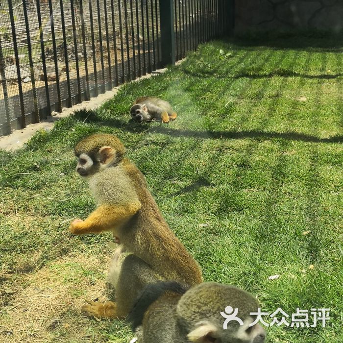 台州湾野生动物园