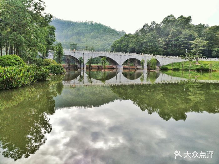 番禺大夫山森林公园旅游区图片 第674张