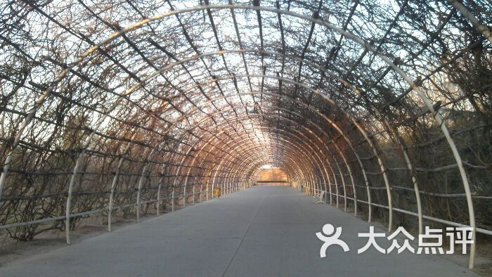 丰乐农庄(丰乐农庄日式)户外走廊景观图片 第3张