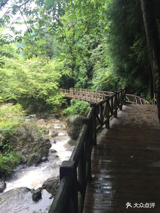 峨眉山七里坪森林栈道景区-图片-洪雅县周边游-大众
