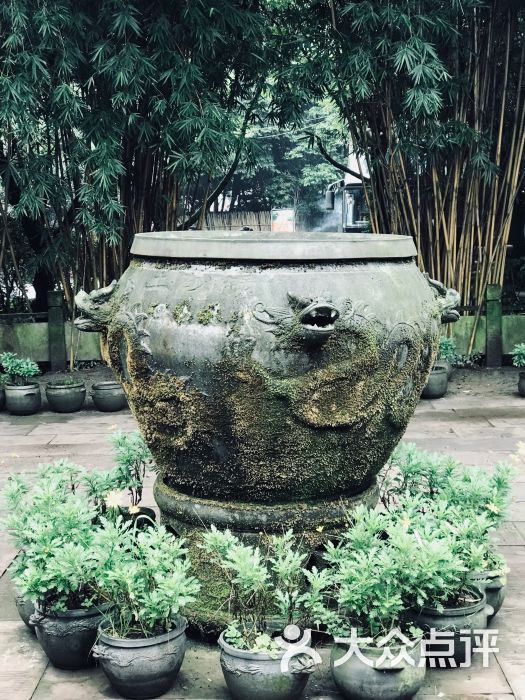 土砂锅生态山庄-图片-雅安美食-大众点评网