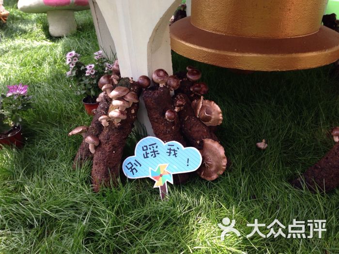 第四届北京农业嘉年华(北京昌平草莓博览园)-图