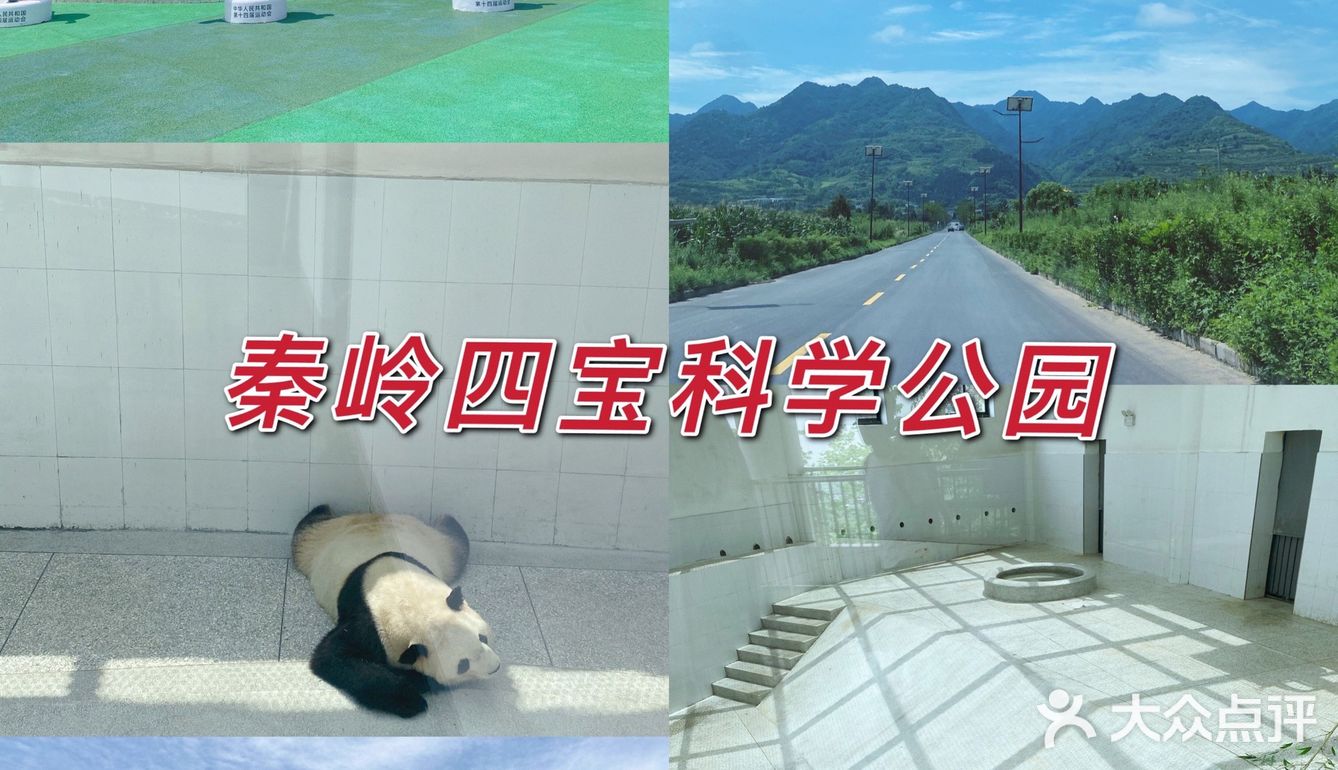 来秦岭四宝科学公园看啦