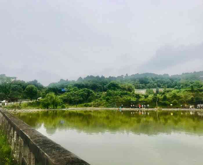 莲渡湖花椒鸡(铁山坪莲渡湖酒店店)-"难得家庭出游,坪