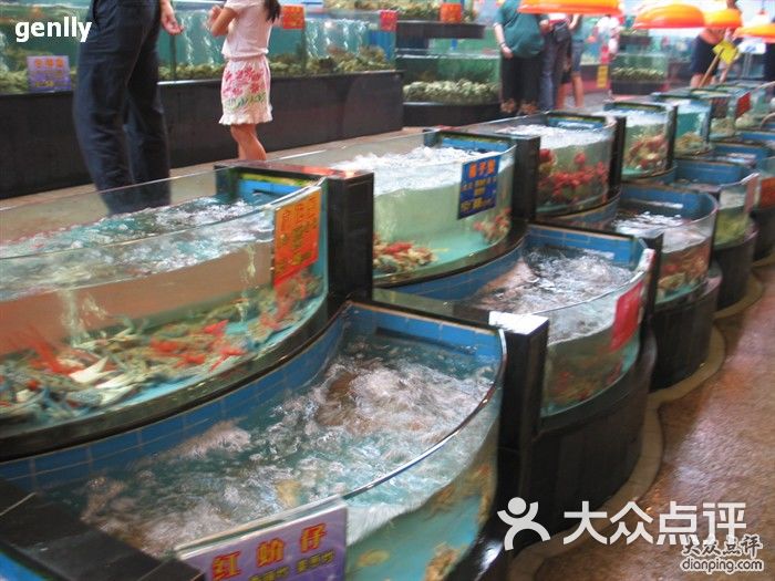 成都红高粱海鲜酒楼_红高粱图片素材_红高粱海鲜酒楼