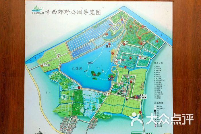 青西郊野公园图片 - 第1张