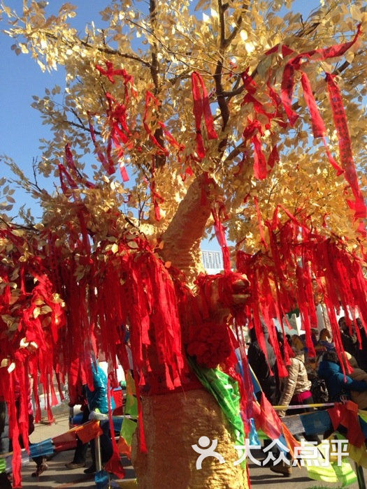皇寺庙会图片 - 第583张