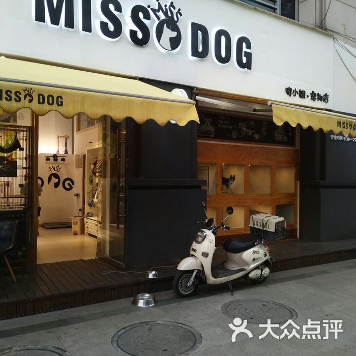 missdog哆小姐宠物店