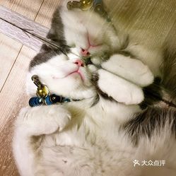 Iweoh0IWBG-TDMl47LarjaNX7IQo2ZCzCf1z5nmfGSBK3IRWkjvhwdbevh0id74VuzFvxlbkWx5uwqY2qcjixFEuLYk00OmSS1IdNpm8K8twhW7bzr4O88Ivp4FuDG0SfCF2ubeXzk49OsGrXt_KYDCngOyCwZK-s3fqawWswzk.jpg