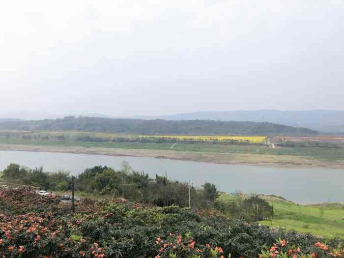 广阳江南枇杷园-"广阳岛正对面的广阳江南枇杷园…总.