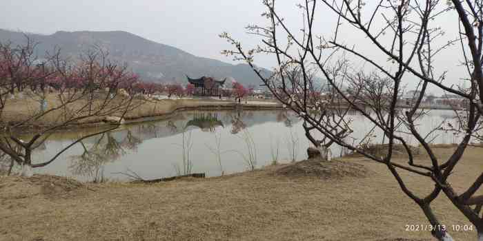 伊芦山梅园-"伊芦山梅园位于江苏省灌云县伊芦山景区