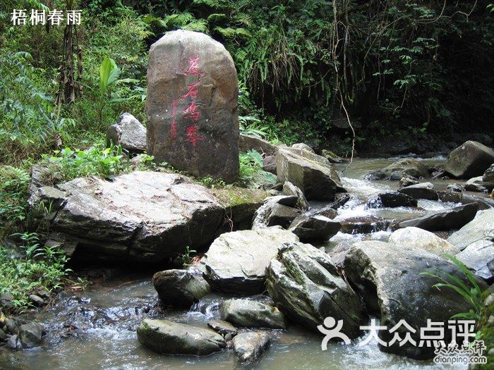 连山大旭山瀑布群风景区蕉石鸣琴瀑布图片 - 第91张