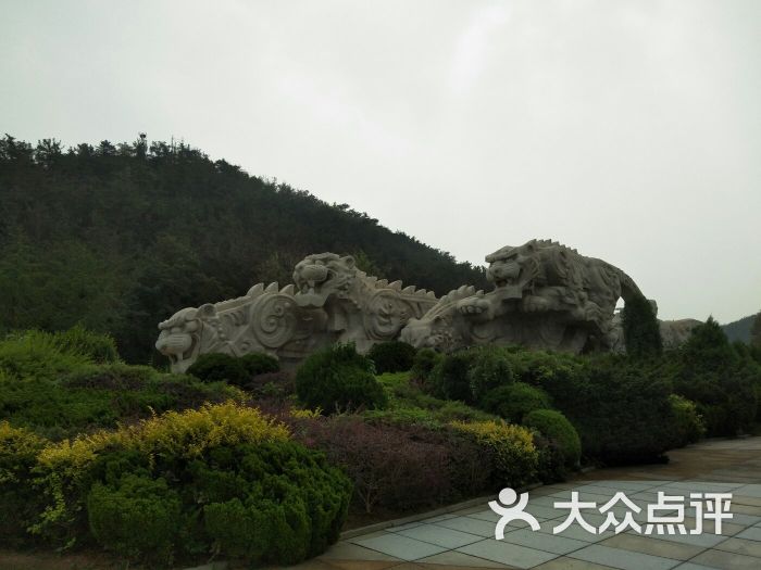 大连老虎滩海洋公园 旅顺 森林动物园 市内旅游图片 第7张
